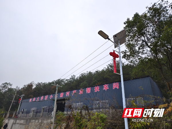 图片3.jpg 图片3.jpg